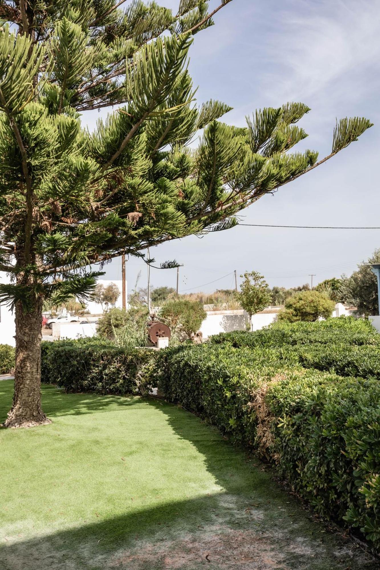 Aggeliki'S Diamond Aparthotel Agia Anna  Luaran gambar
