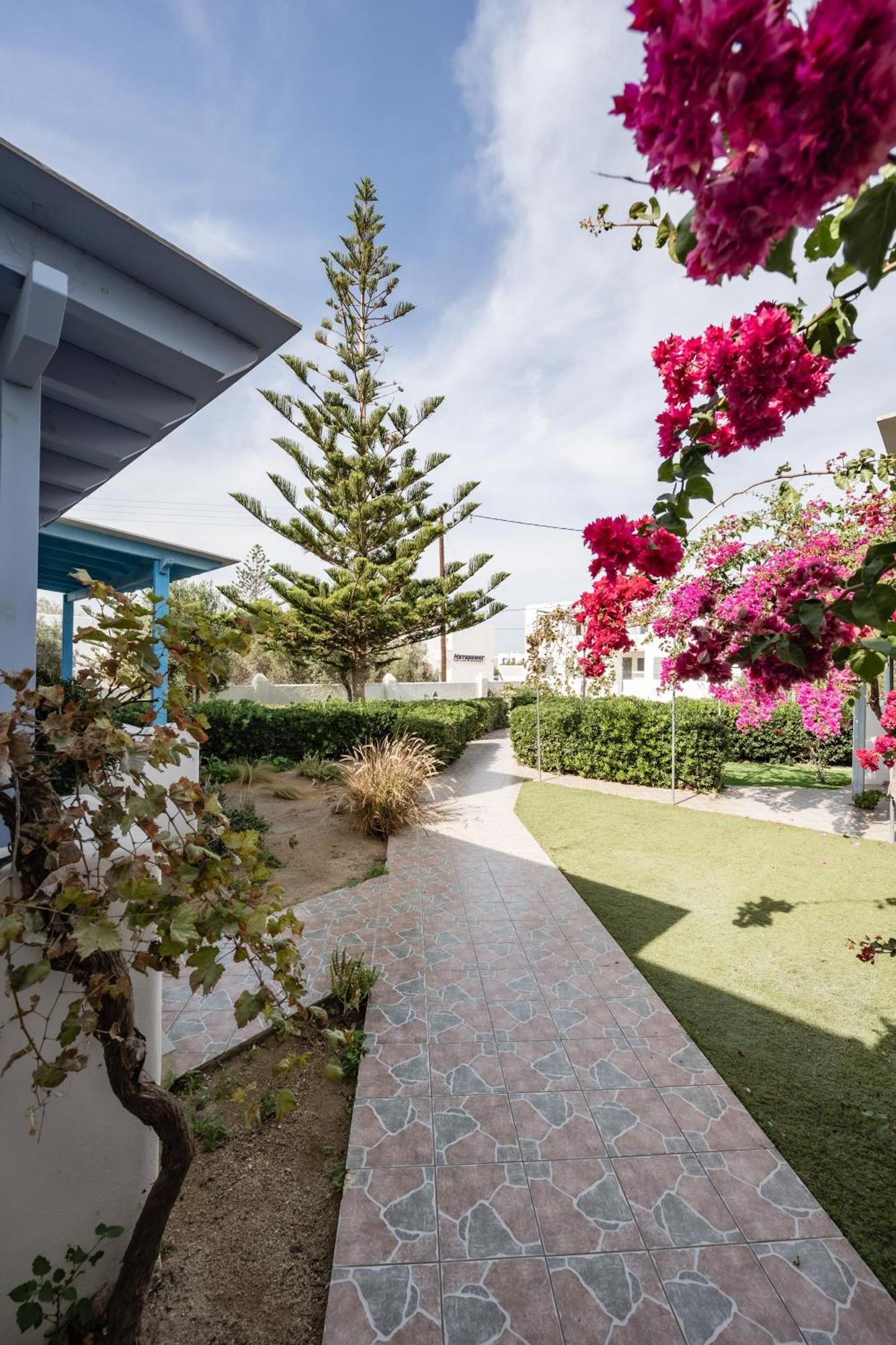 Aggeliki'S Diamond Aparthotel Agia Anna  Luaran gambar