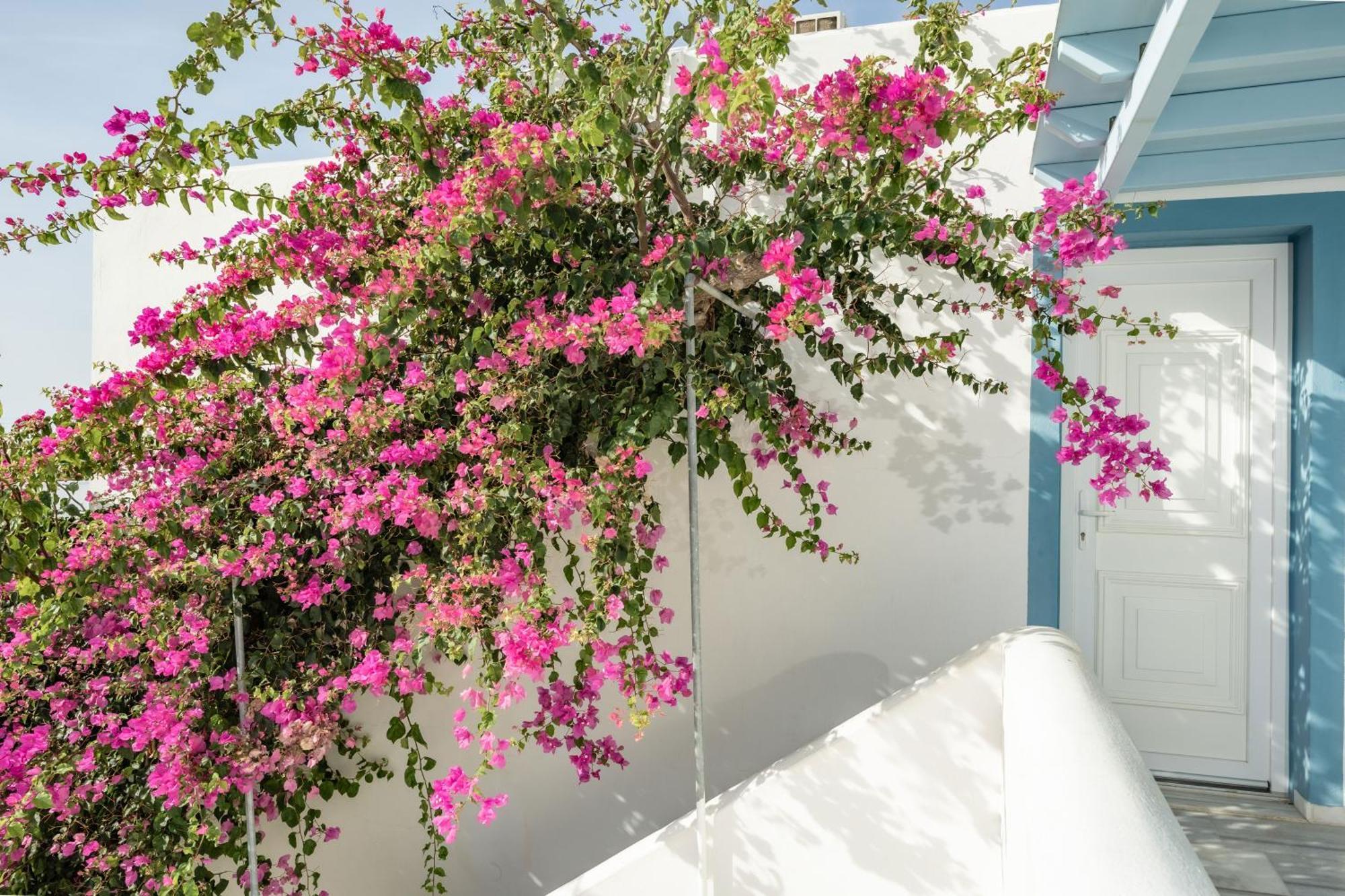 Aggeliki'S Diamond Aparthotel Agia Anna  Luaran gambar